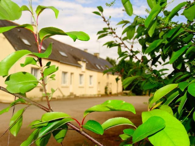 Chambres D'Hotes " Moulin Du Couedic " Nivillac Exterior foto